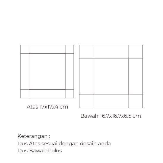 Snackbox 17x17x6.5 Duplex 250