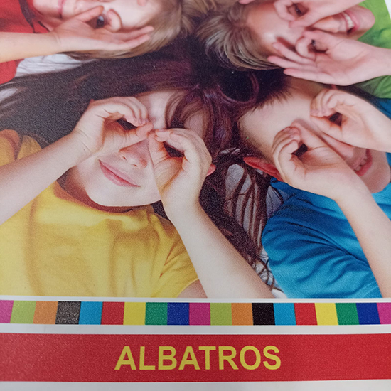 Poster Albatros A0