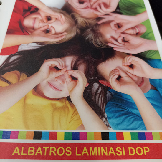 Poster Albatros A0