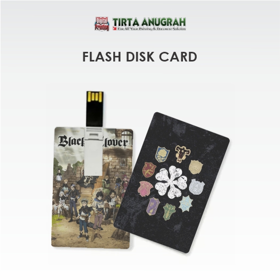 Flash Disk Card