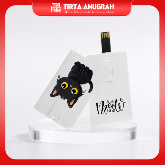 Flash Disk Card